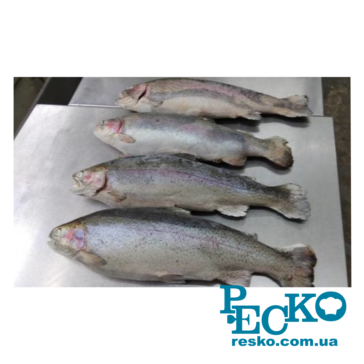 Аппарат шоковой заморозки Frosty BCF 40 шкаф шок фризер камера