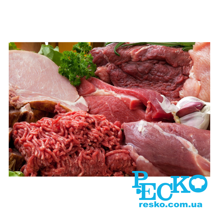 М'ясорубка Fama FTS136UE професійна електрична промислова 300 кг/год