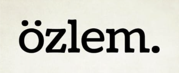 OZLEM