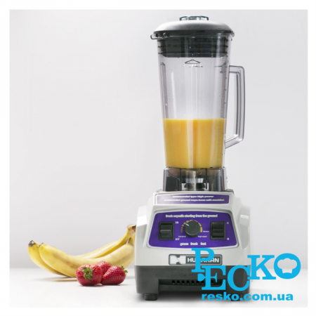 Блендер Hurakan HKN-BLW2 професійний 2 л