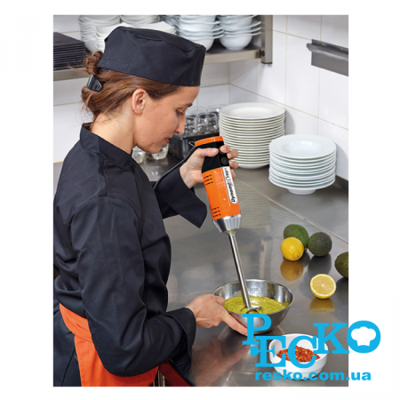 Міксер занурювальний Dynamic MX090 блендер ручний професійний