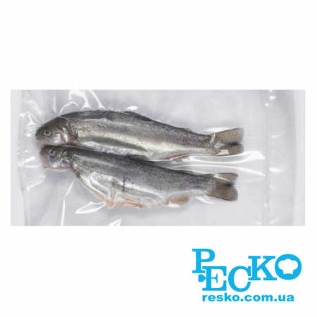 Вакуумний пакувальник Apach AVM 420 камерний професійний